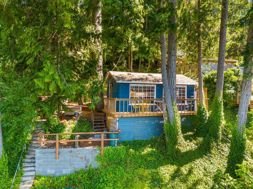 Cabin has treehouse feel, sitting on high bank with lush trees.