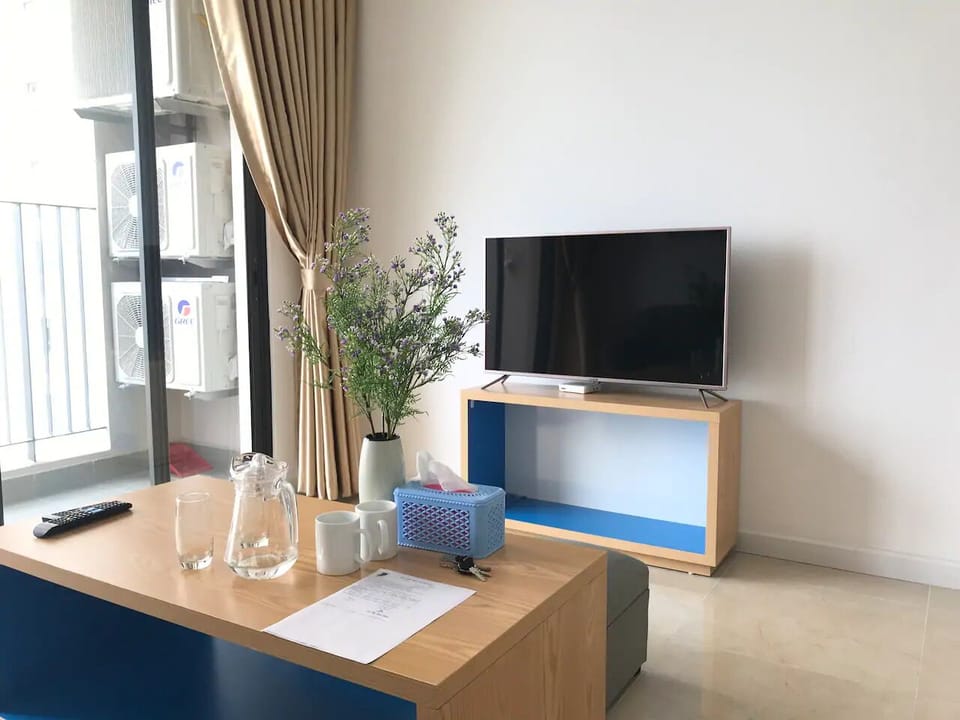Television