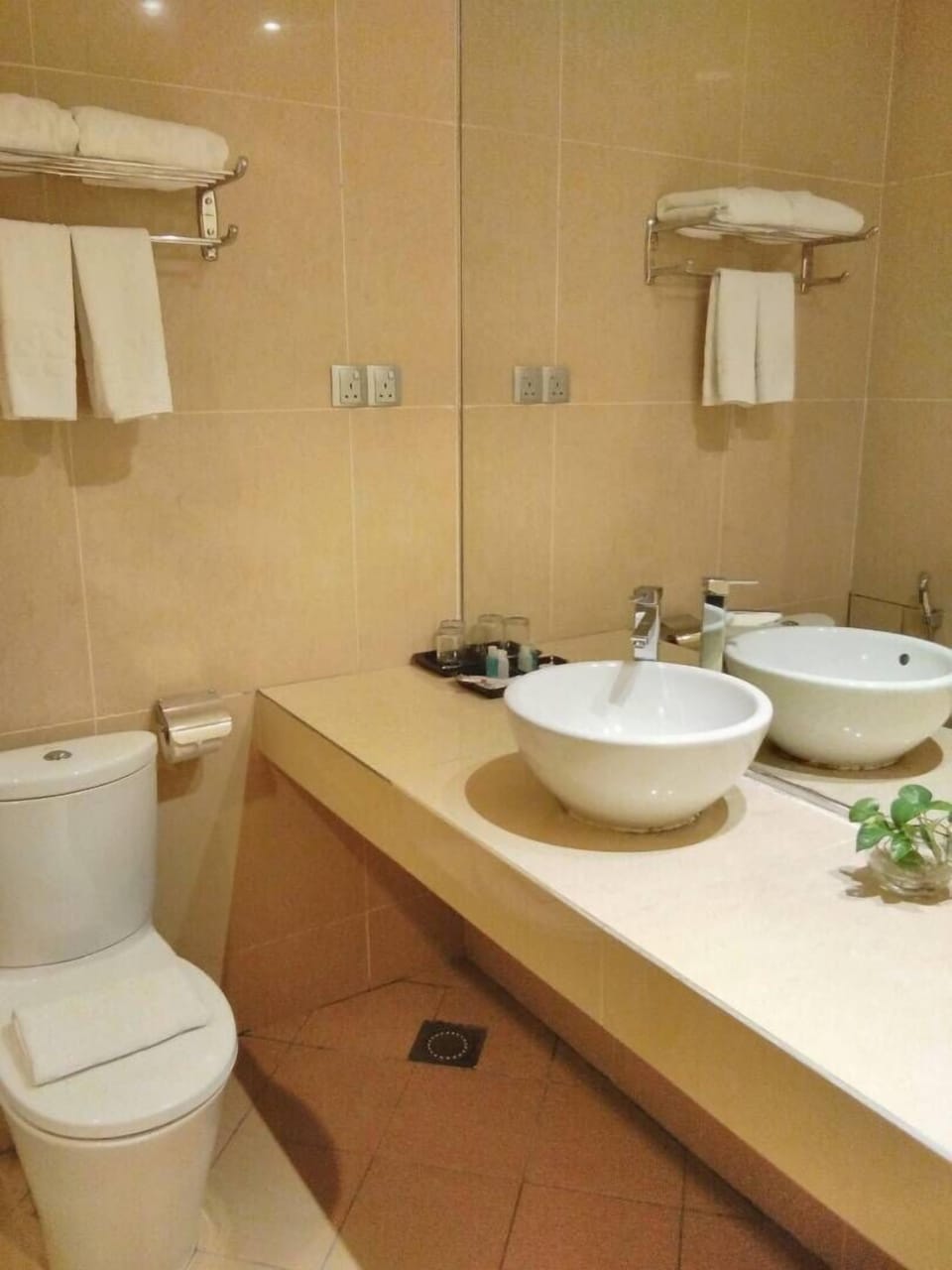 Deluxe Room | Bathroom | Shower, rainfall showerhead, free toiletries, hair dryer
