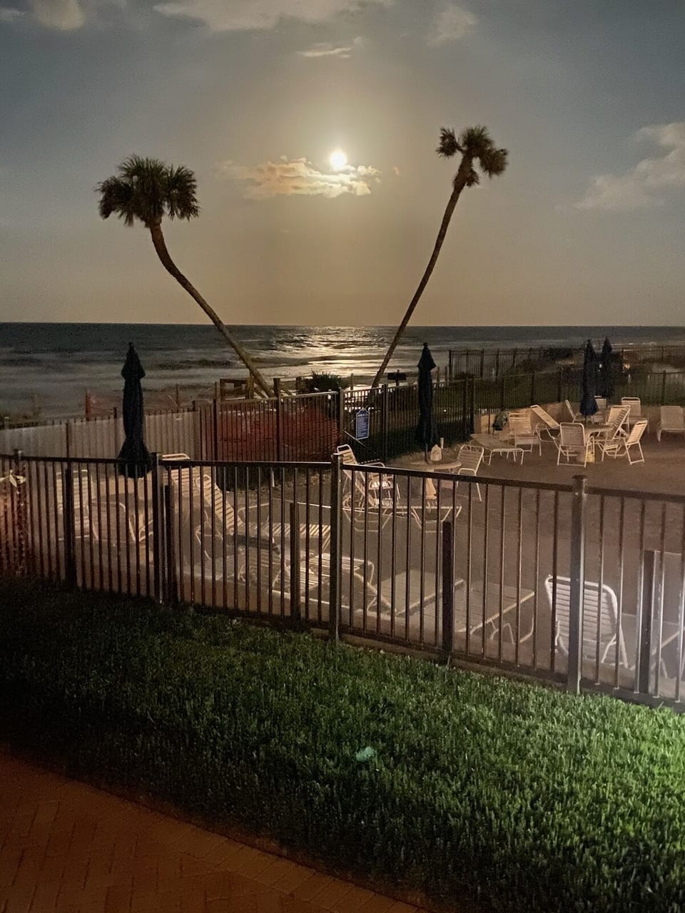 Stunning moonlit ambiance 