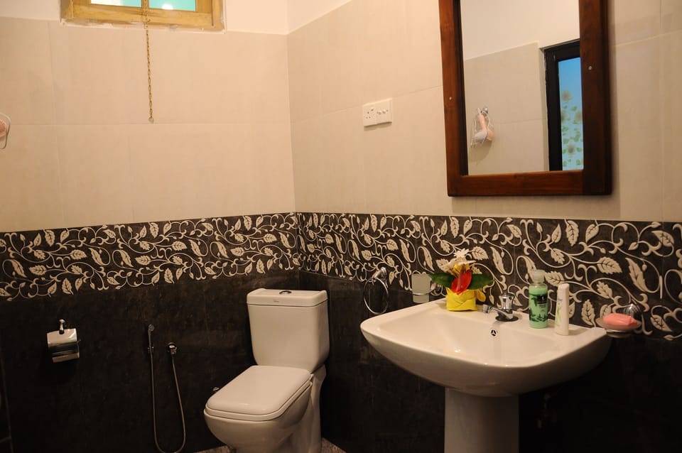 Double Room | Bathroom | Shower, hydromassage showerhead, free toiletries, hair dryer