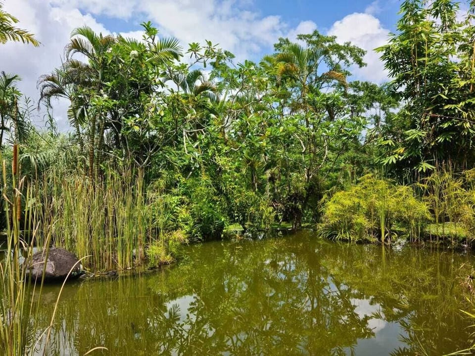 The Nature Suite | 1 bedroom, premium bedding, down comforters, minibar