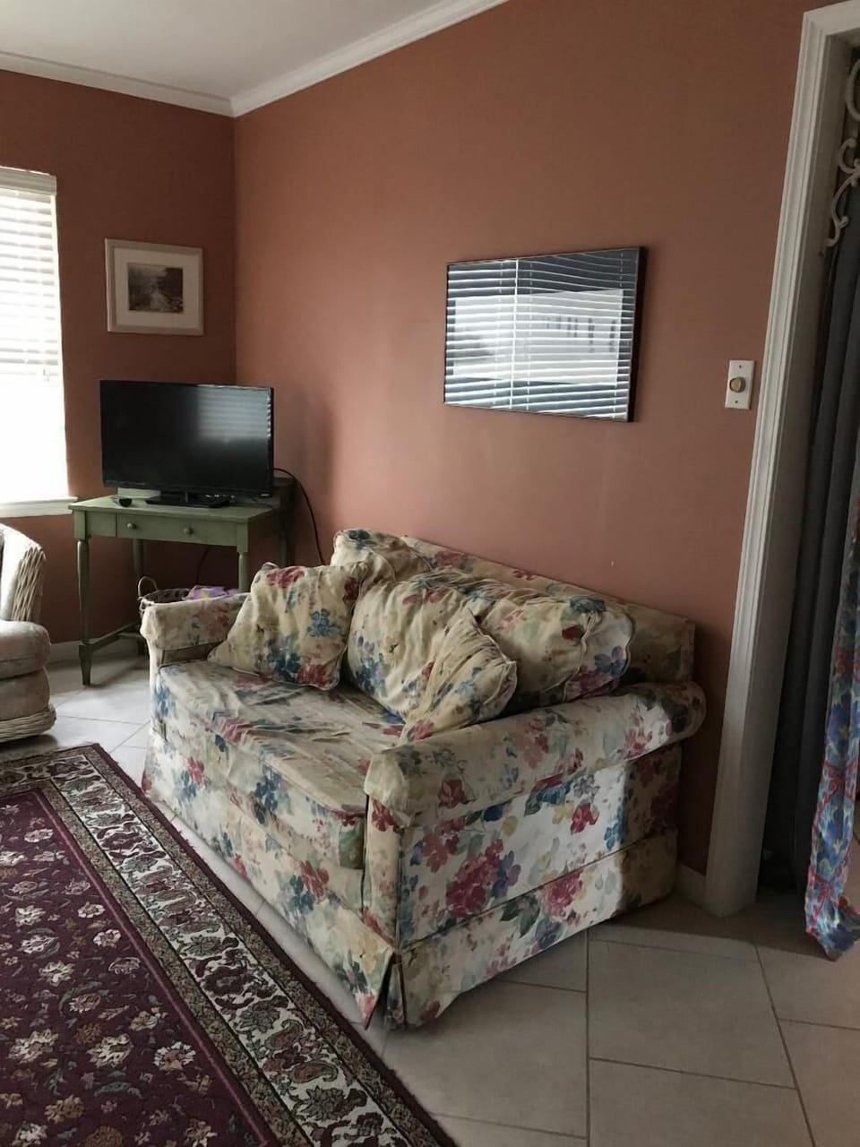MEDIA ROOM  has a twin size sleeper sofa.