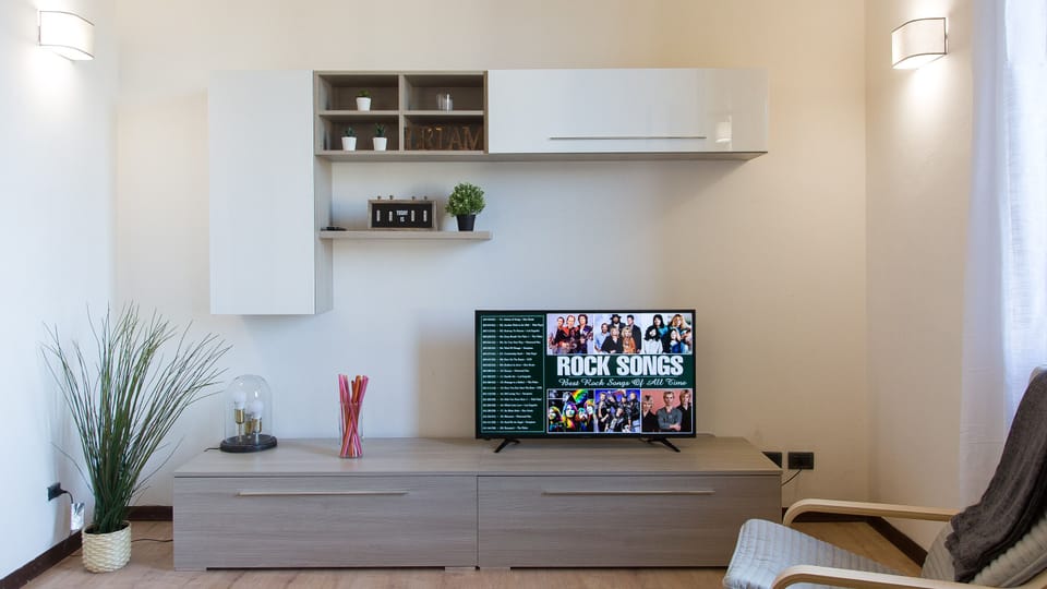 Television
