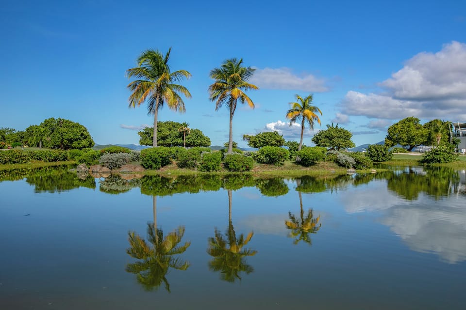 Lovely complex retention pond