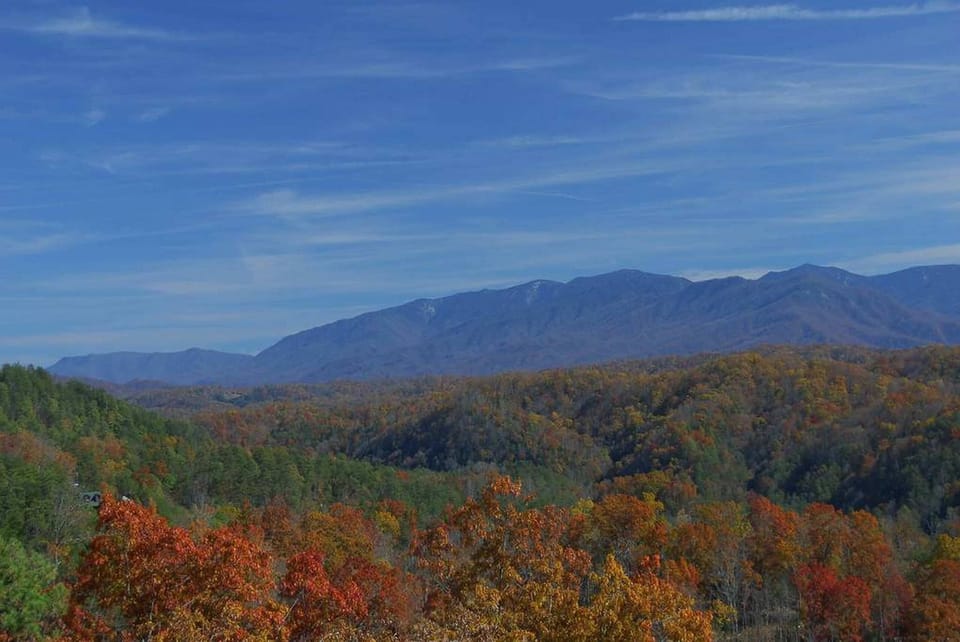 Fall Colors