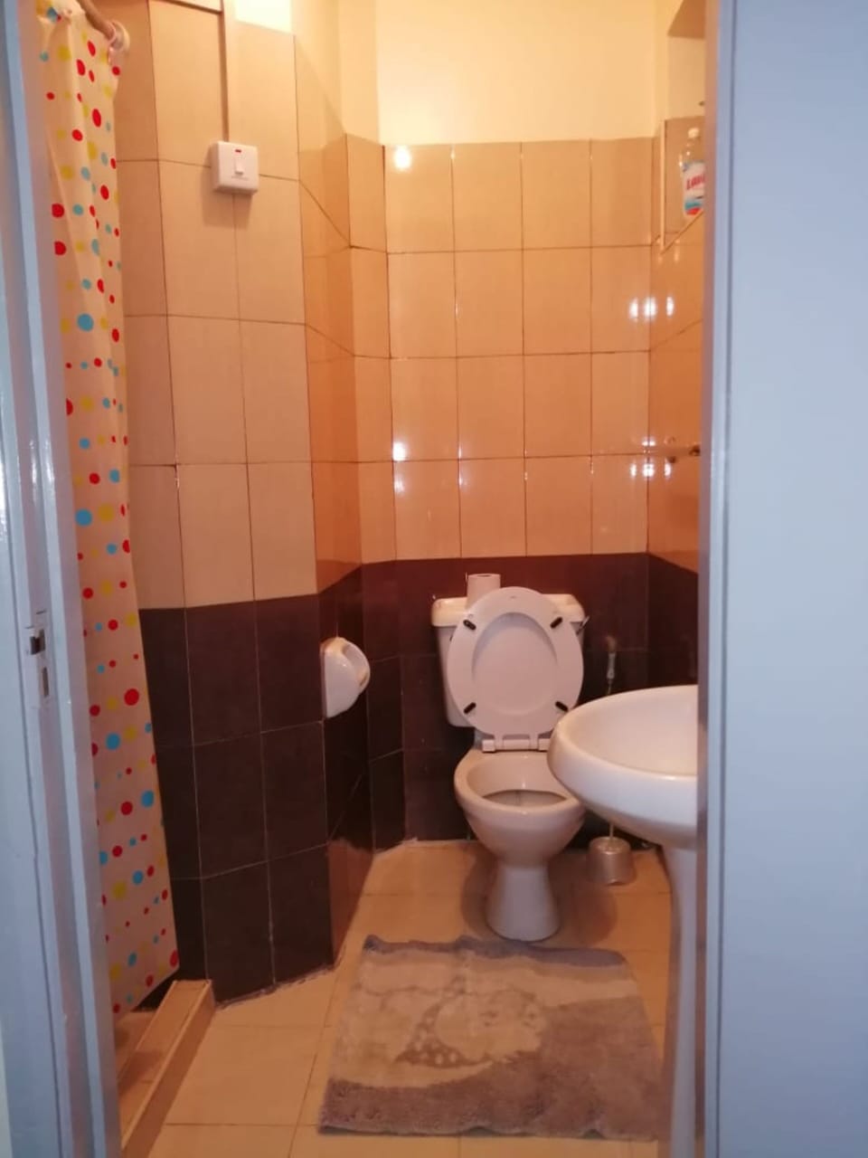 Apartment | Bathroom | Shower, free toiletries, slippers, towels