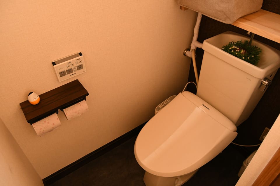 Combined shower/tub, hair dryer, towels