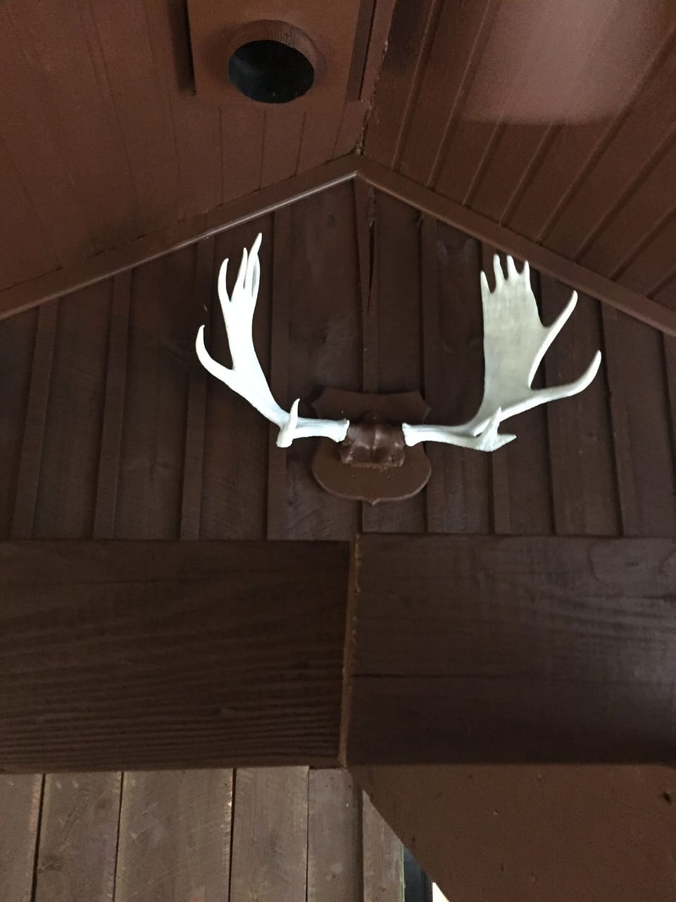 High Vaulted ceilings in the living room, dining room, open to Kitchen. 