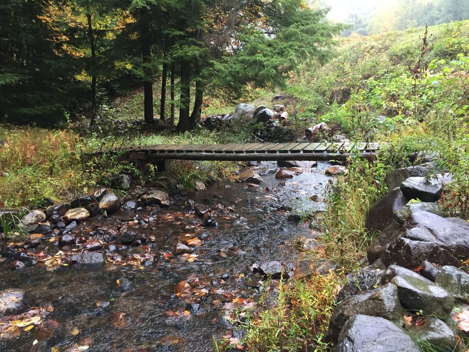 Bridge over Big Brook 