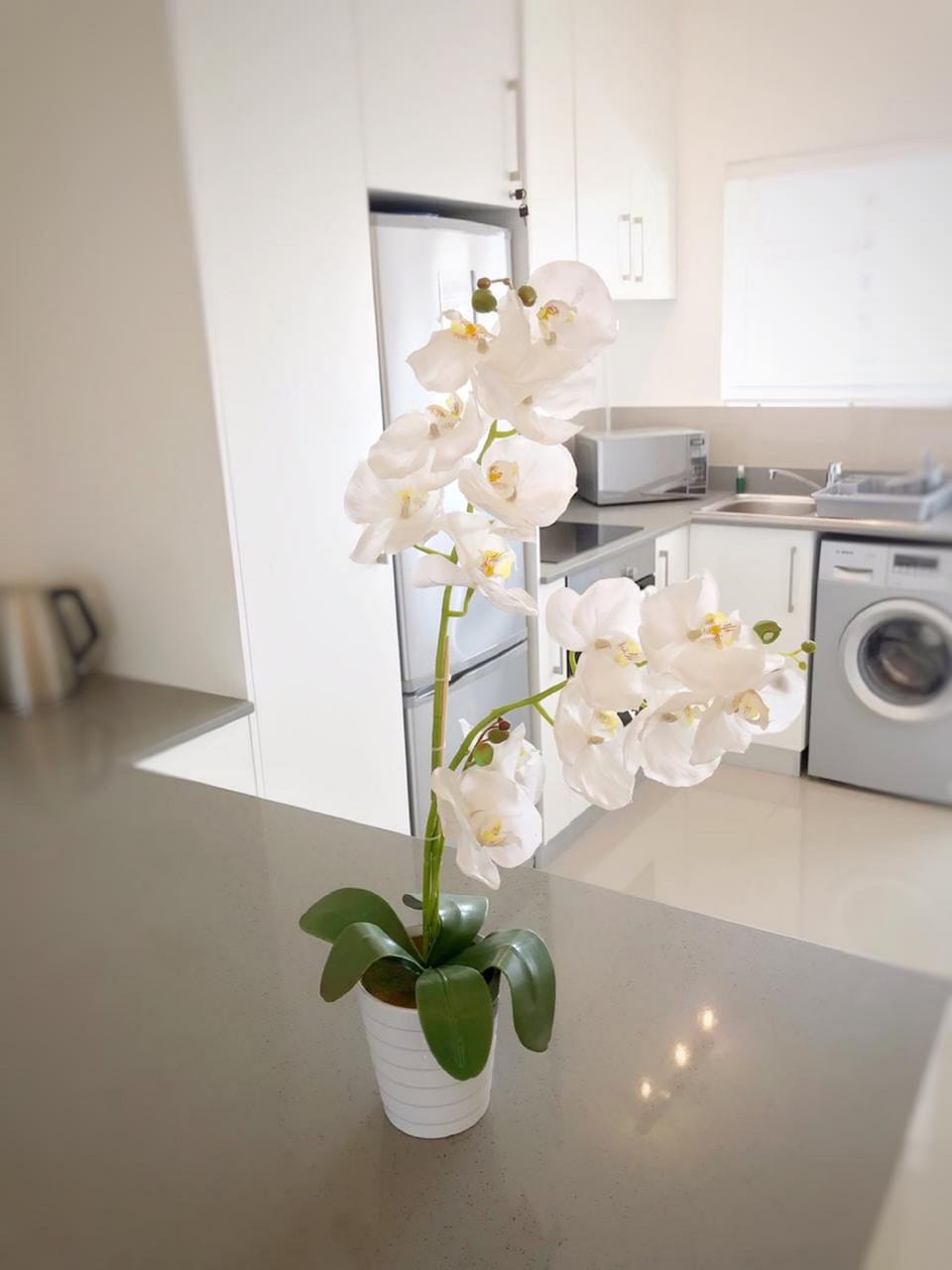 Apartment (1 Bedroom) | Private kitchen | Full-size fridge, microwave, oven, stovetop