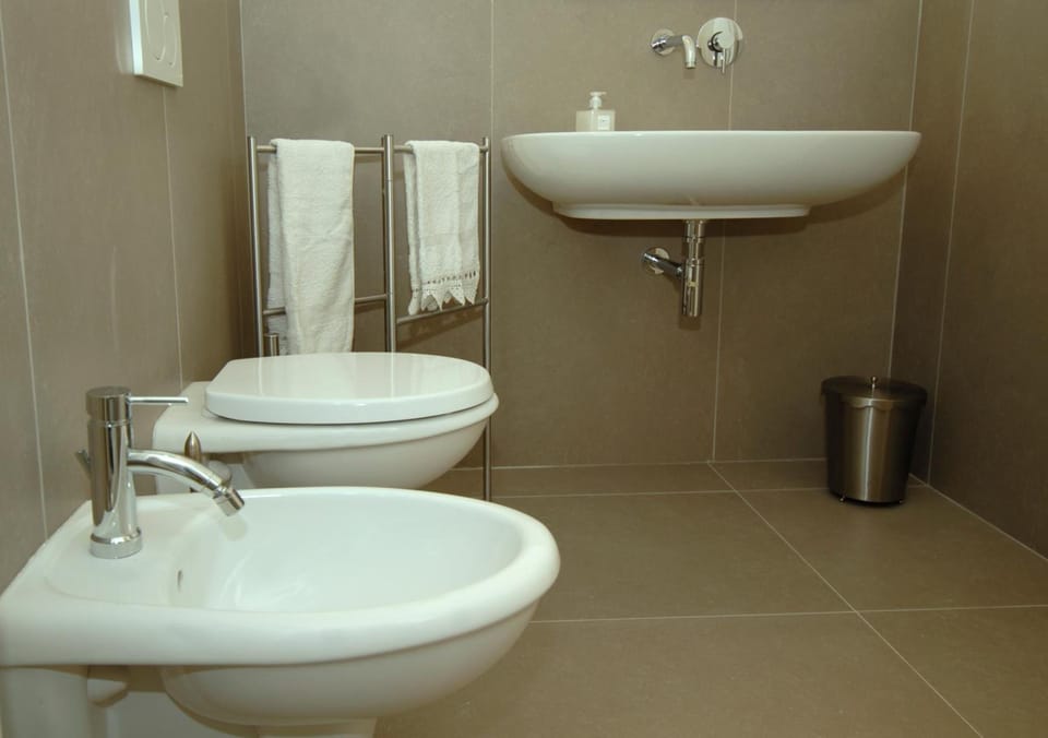Shower, free toiletries, bidet, towels