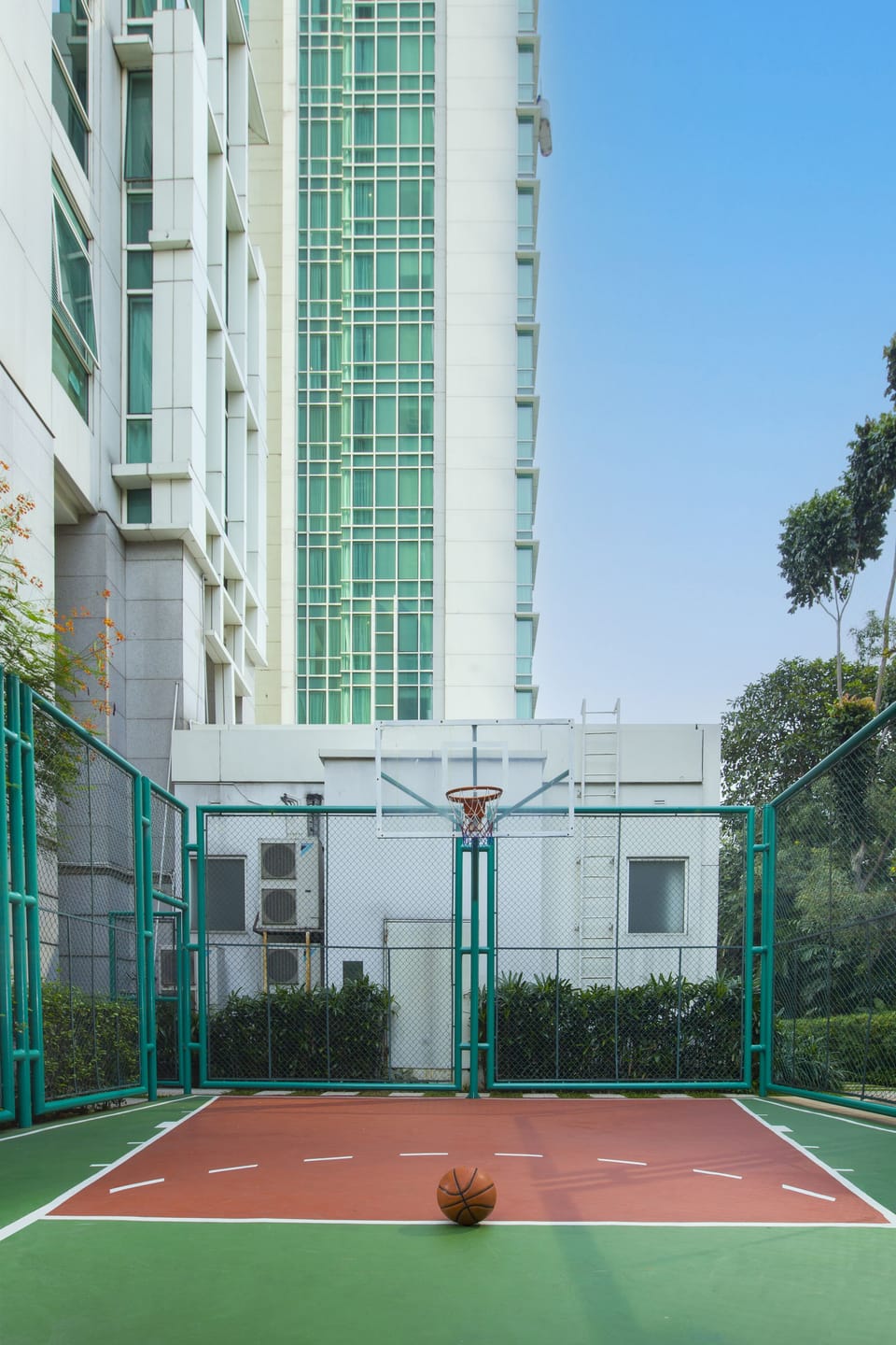 Basketball court