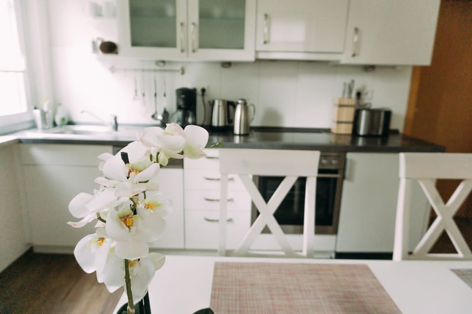 Deluxe Apartment | Private kitchen | Fridge, oven, stovetop, dishwasher