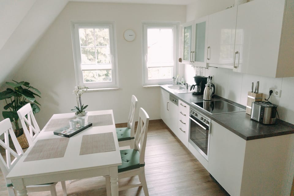 Deluxe Apartment | Private kitchen | Fridge, oven, stovetop, dishwasher