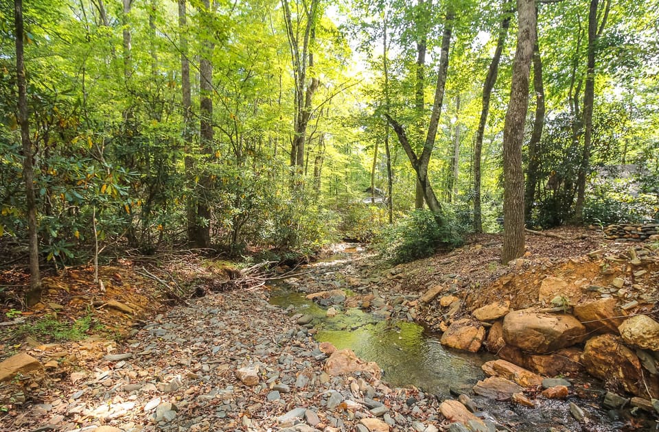 Another view of the creek.