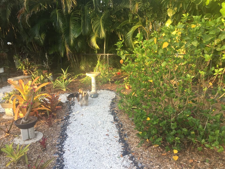 Zen garden 