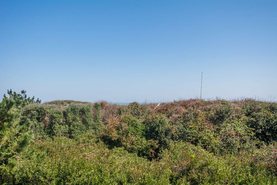 DU909: Blue Bayou | Mid Level Deck View