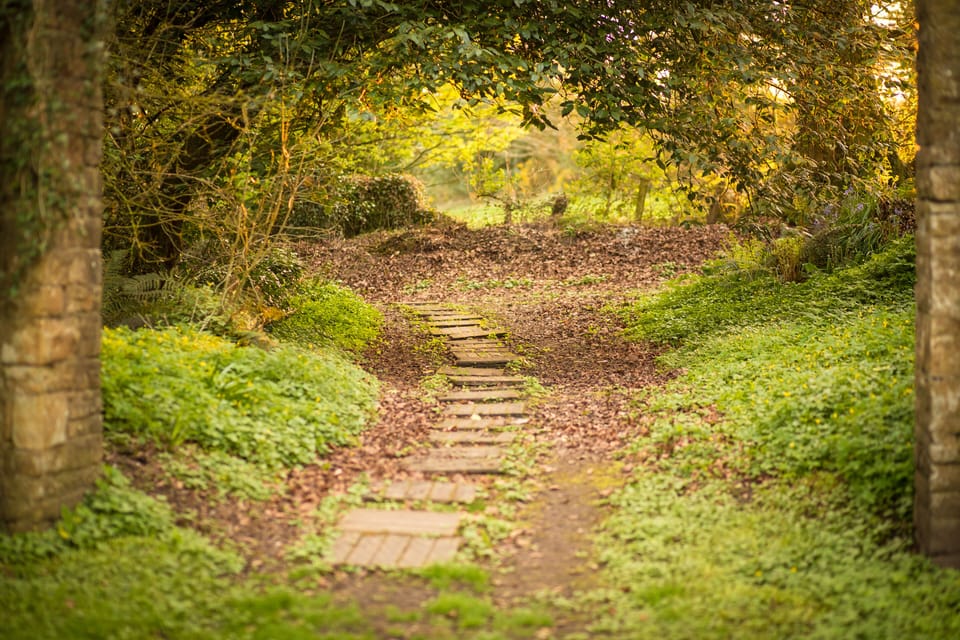 Path to Writer's Cottage
