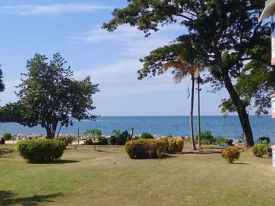 View from balcony