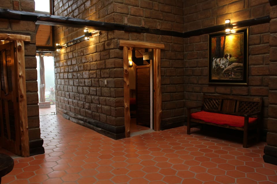 Flat-screen TV, fireplace