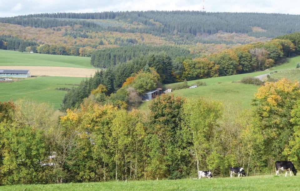area