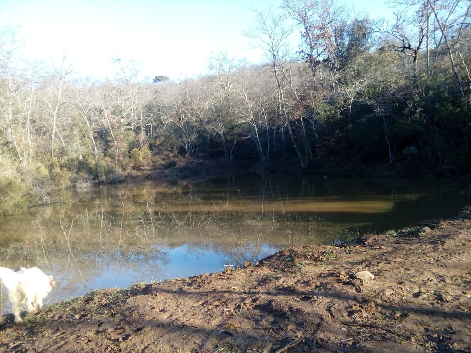 Lake