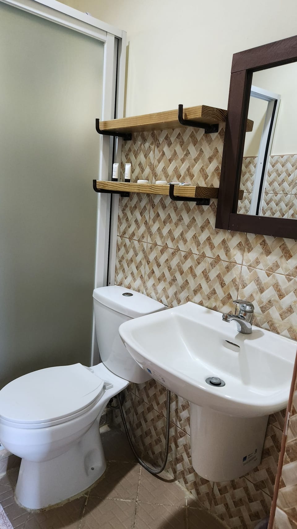 Shower, free toiletries, hair dryer (on request), bidet