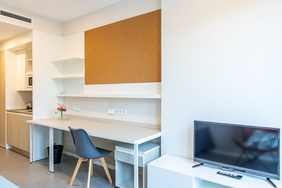 Executive Studio (Single) | Living area