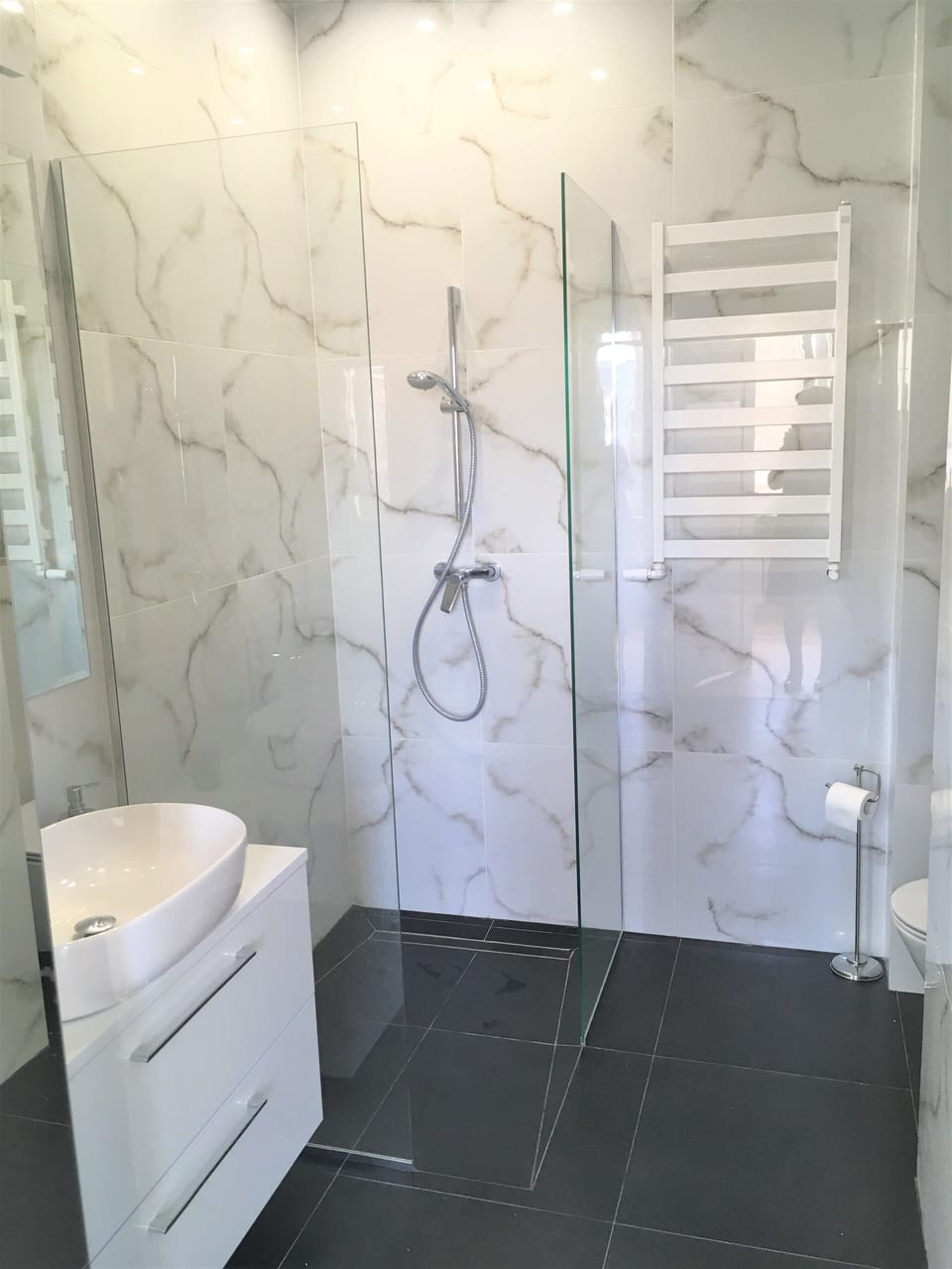 Business Apartment | Bathroom | Shower, towels, shampoo, toilet paper