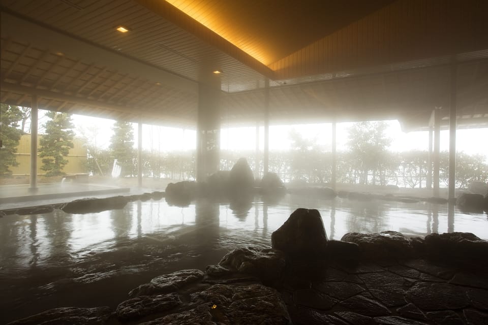Kamedake Onsen Tamaminesansou Ryokan in Japan
