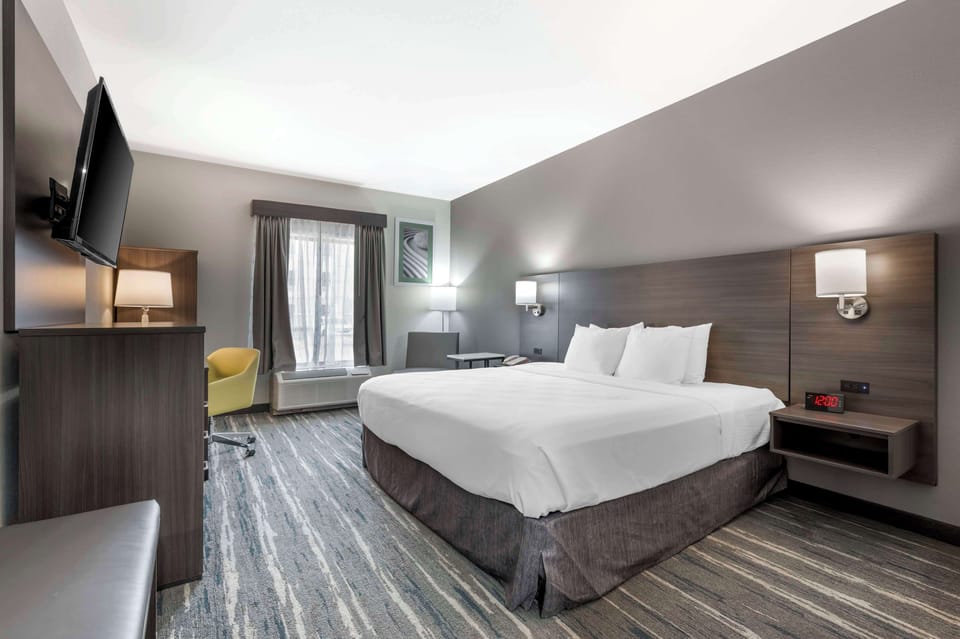 Standard Room, 1 King Bed, Non Smoking | Premium bedding, pillowtop beds, in-room safe, desk