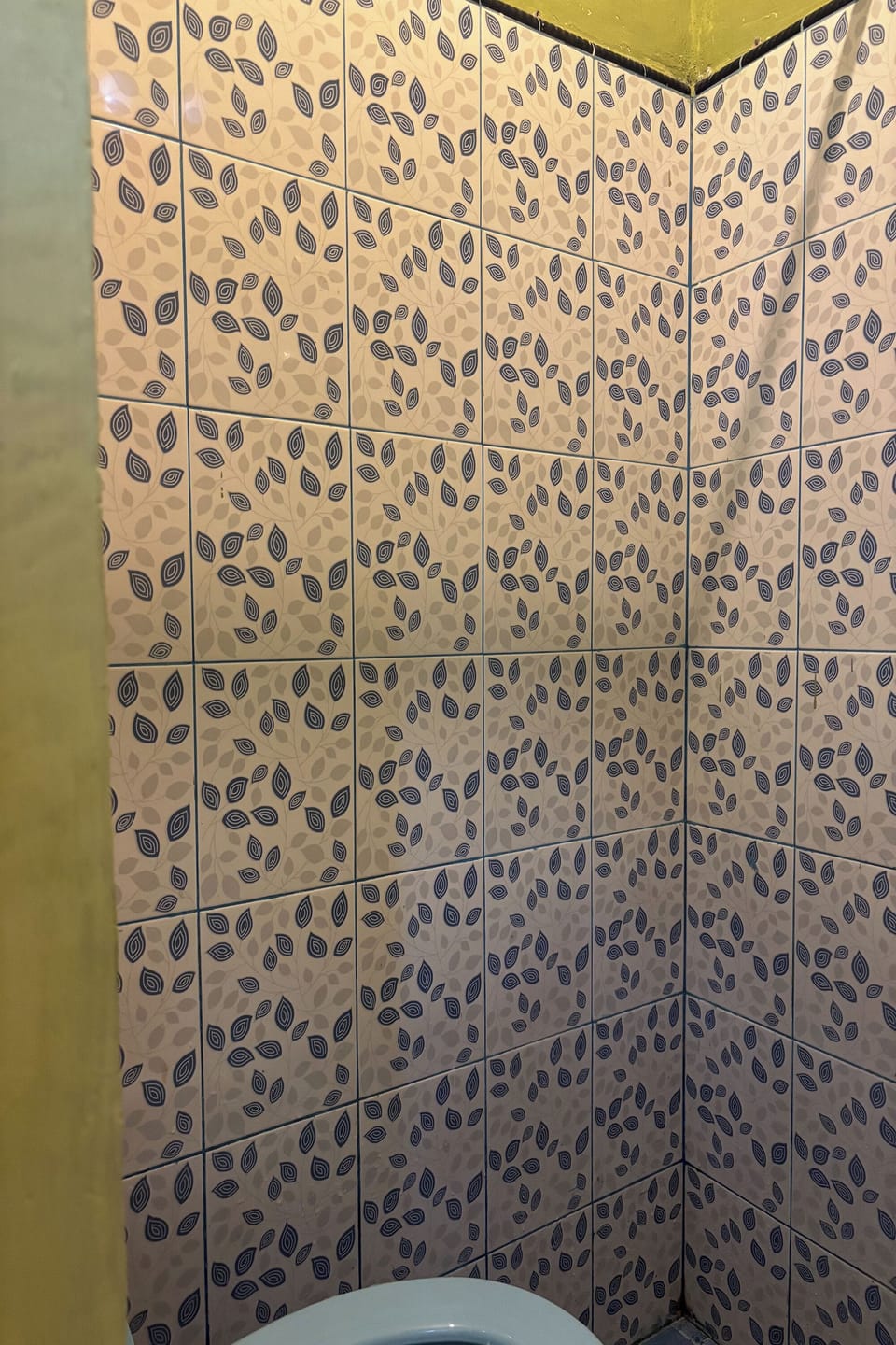 Standard Room | Bathroom | Shower, towels