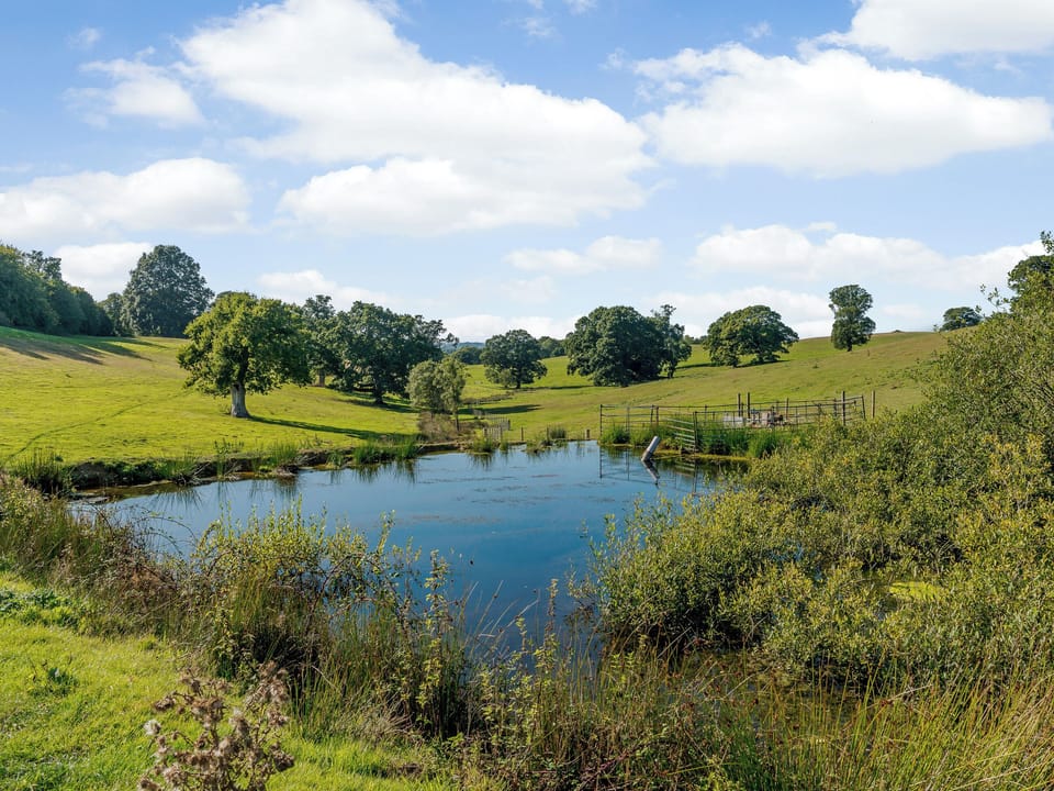 Picturesque surroundings | The Hut at Hole Farm, Alderbury