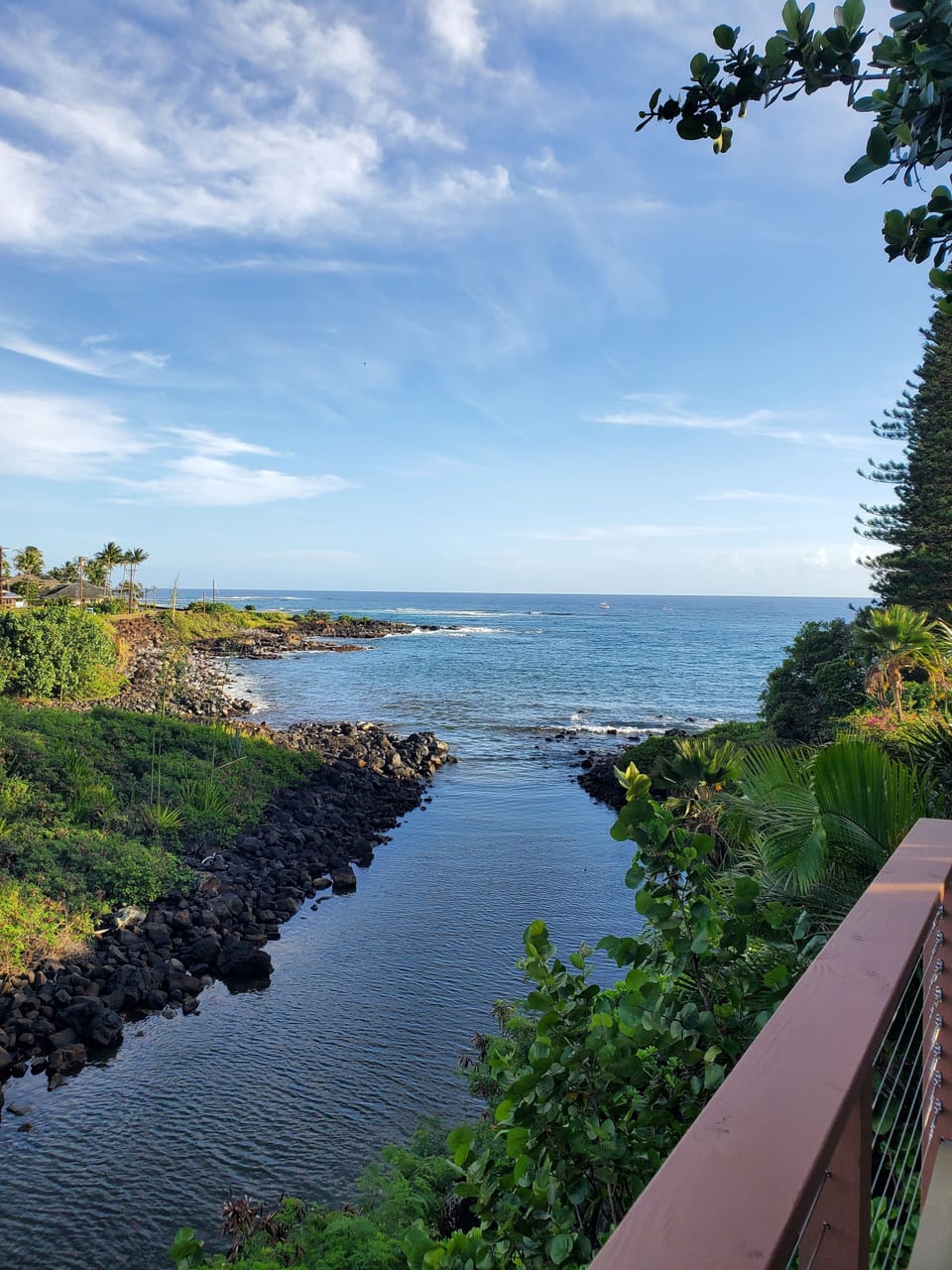 Lanai view looking south