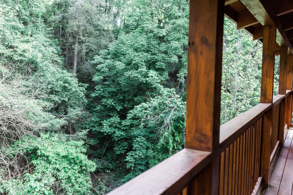 View from the back deck.