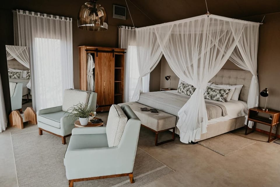 Premier Room | Desk, WiFi (free)