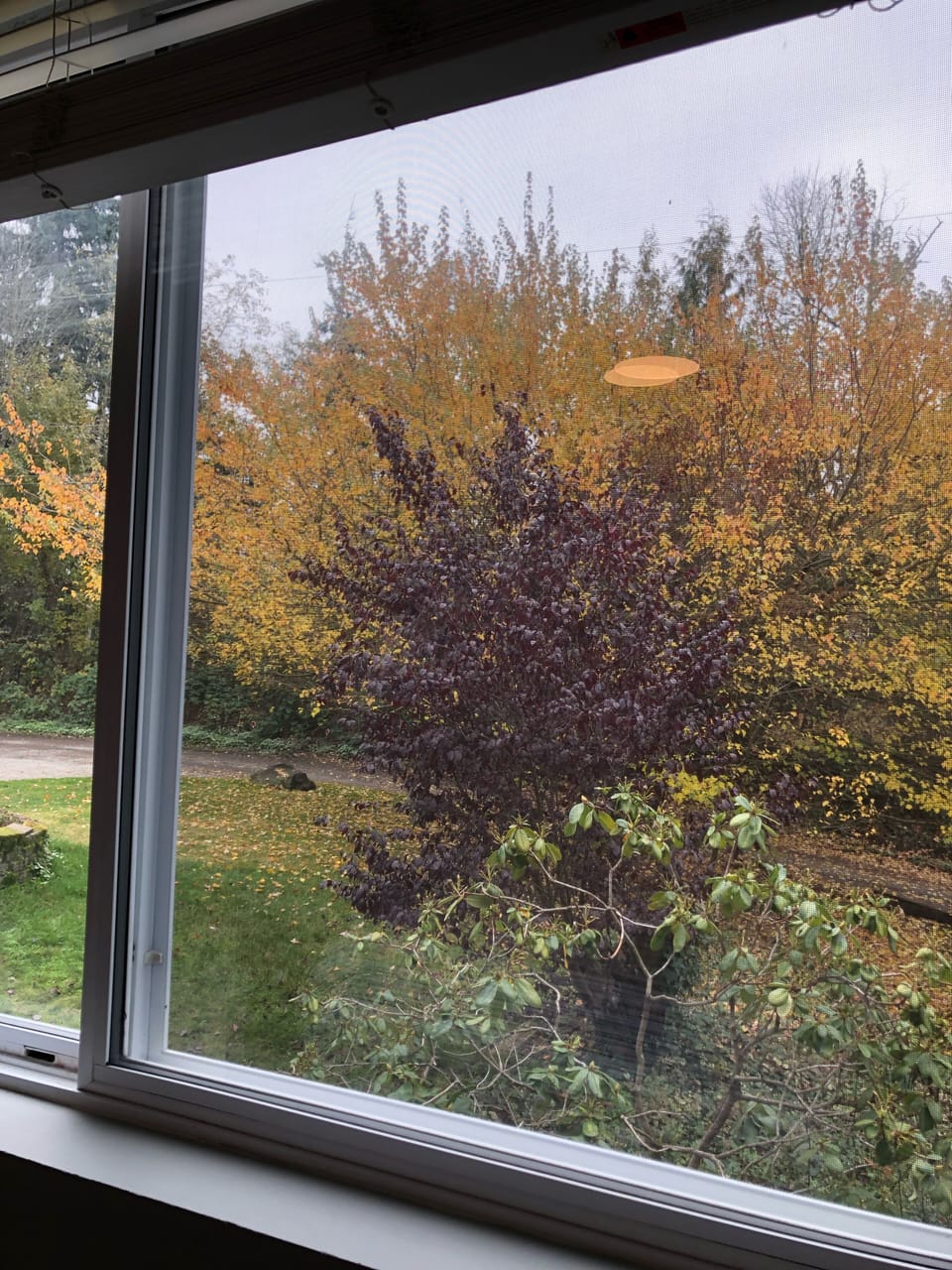 View from the master bedroom window