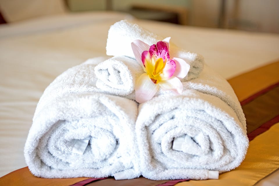Basic Studio | Bathroom amenities | Shower, free toiletries, hair dryer, towels