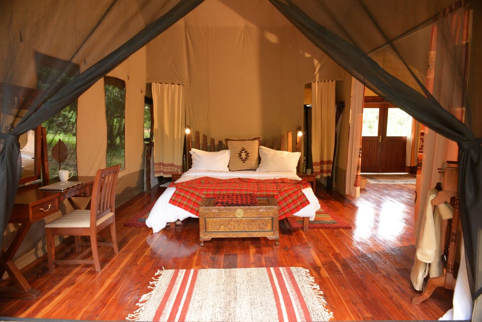 Family Tent | Premium bedding, memory foam beds, individually decorated