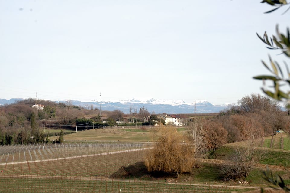 Land view from property