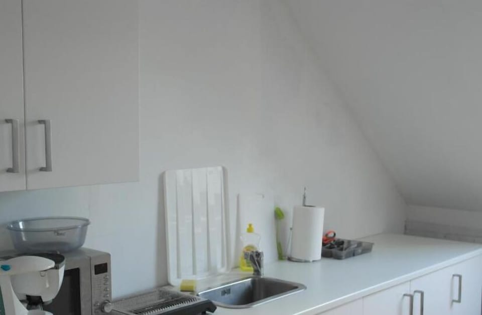 Shared fridge, microwave, cookware/dishes/utensils