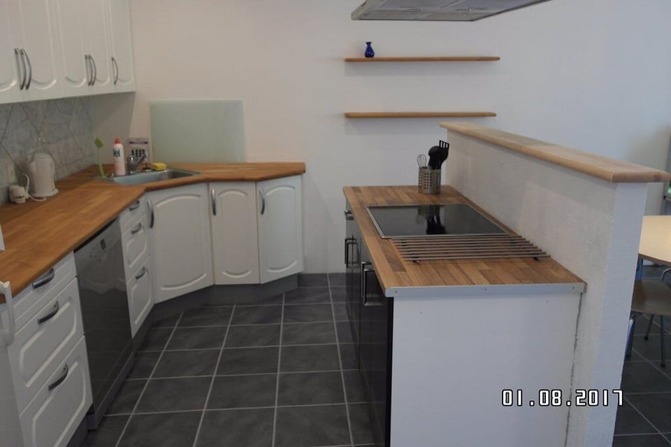 Family Apartment | Private kitchen | Shared fridge, microwave, cookware/dishes/utensils