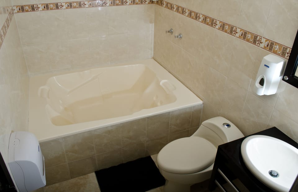 Basic Room | Bathroom | Combined shower/tub, hair dryer, towels, soap
