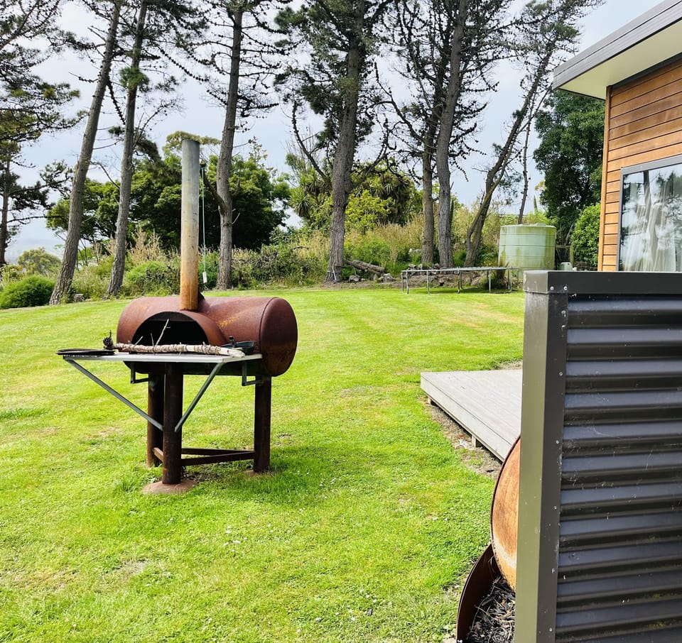 Outside fire pizza oven 