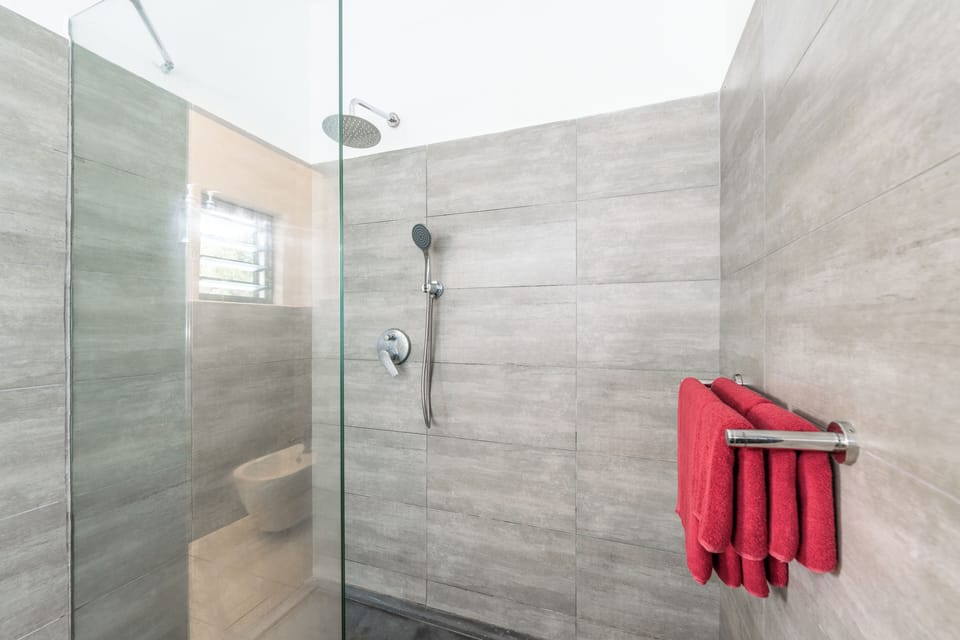 Shower, free toiletries, bidet, towels