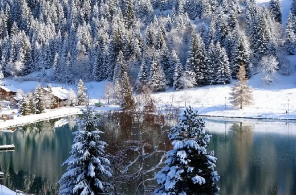2-room apartment Châtel, with parking, 350m from the slopes (Portes du Soleil) House in Châtel