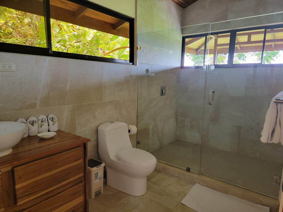 Signature Room | Bathroom | Shower, hair dryer, towels, soap