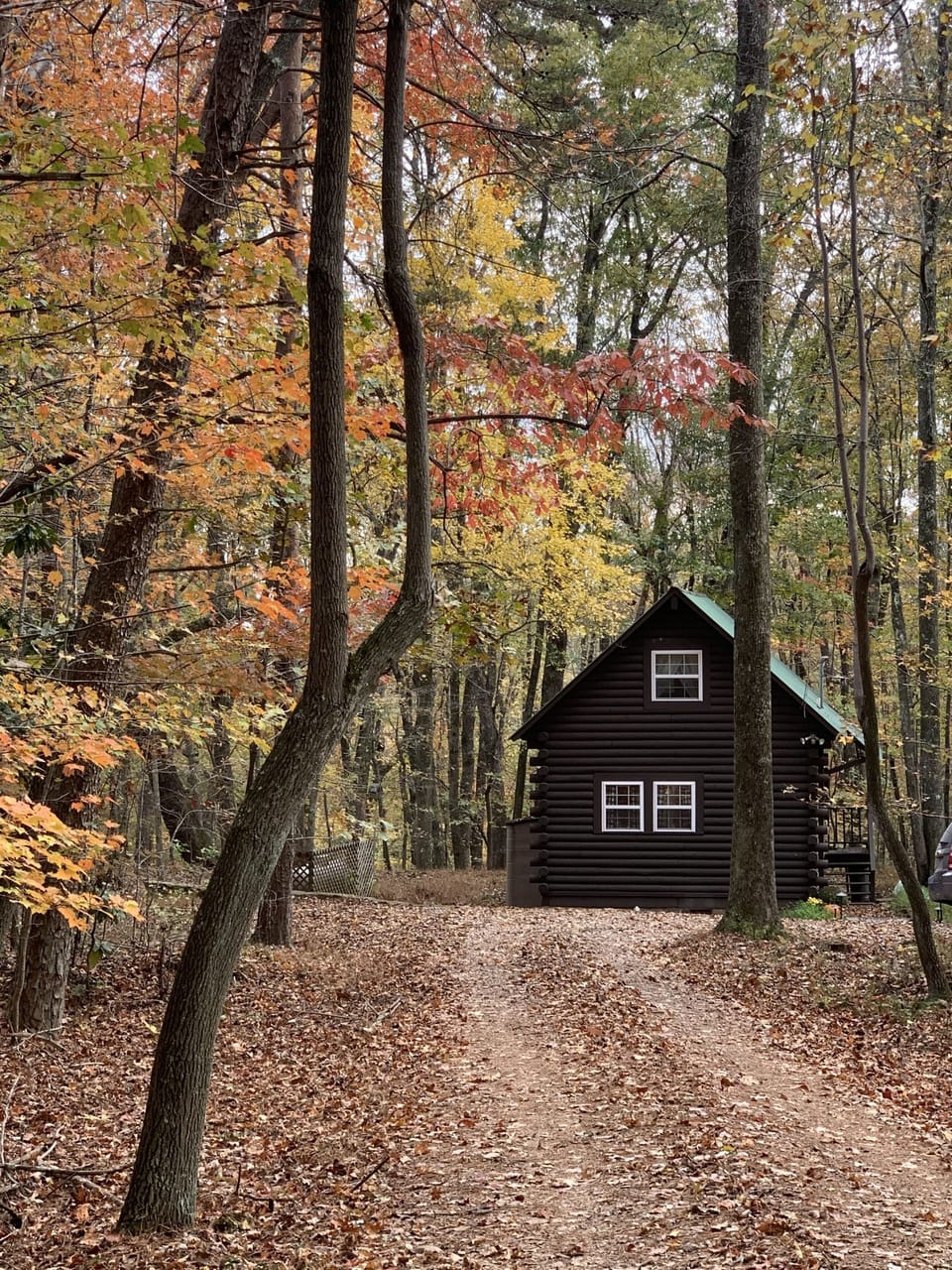 55769b21-d4c4-41db-bbd7-5daa61b6be93