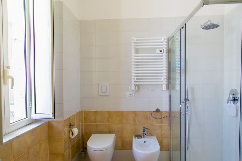 Traditional Room, City View | Bathroom | Shower, rainfall showerhead, free toiletries, hair dryer